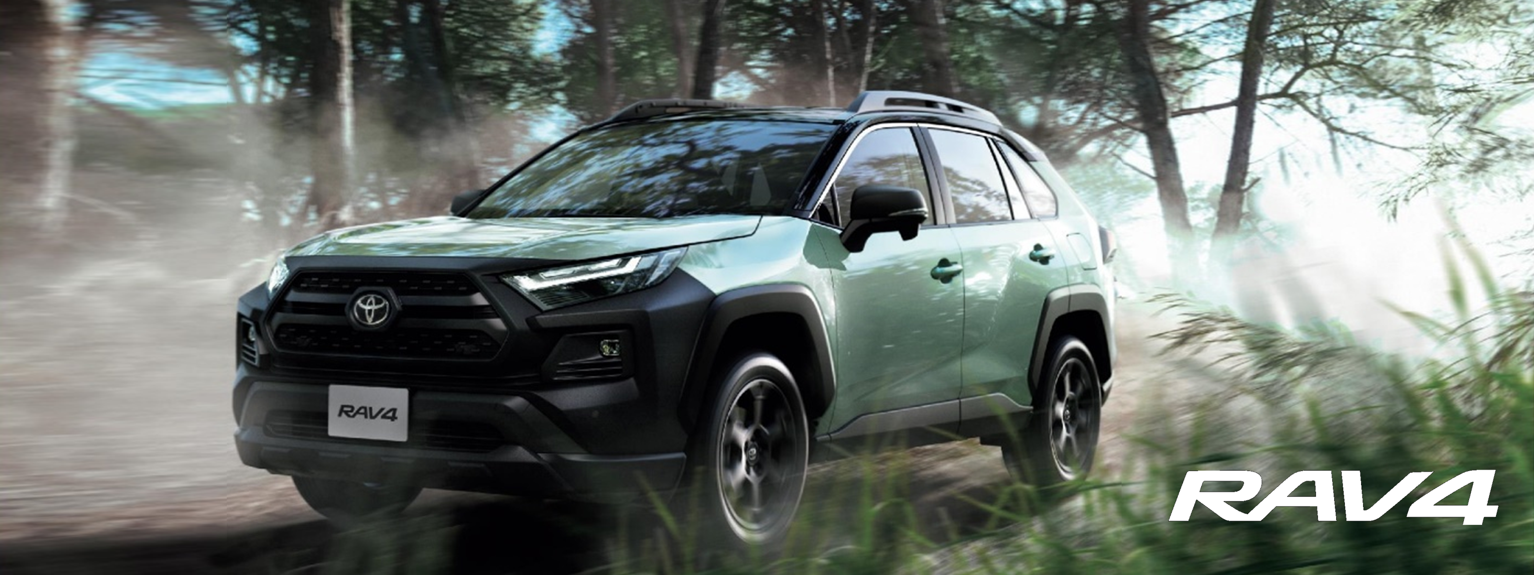 20250220RAV4