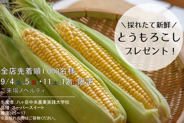 とうもろこし